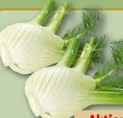 REWE Center Fenchel Angebot