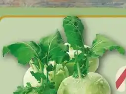 REWE Center Kohlrabi Angebot