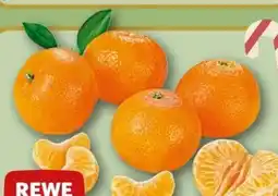 REWE Center Rewe Beste Wahl Clementinen Angebot
