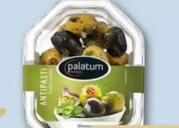 REWE Center Palatum Antipasti Olivenmix Angebot