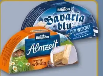 REWE Center Bergader Almzeit Angebot