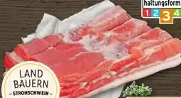 REWE Center Metzgerei Landbauern Strohschwein-Bauch Angebot