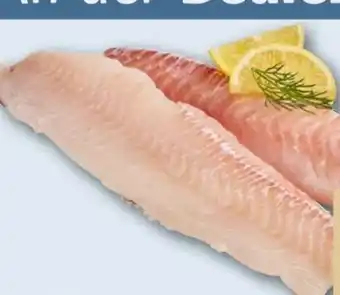 REWE Center Schellfisch-Loins Angebot