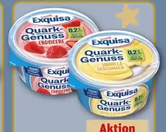 REWE Center Exquisa Quark Genuss Angebot