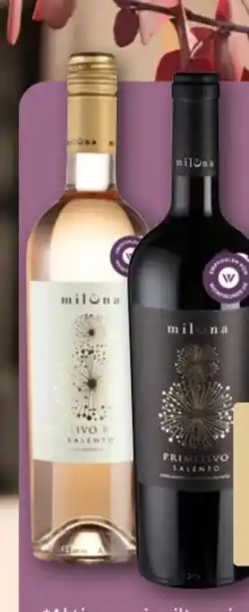 REWE Center Miluna Primitivo Salento Angebot