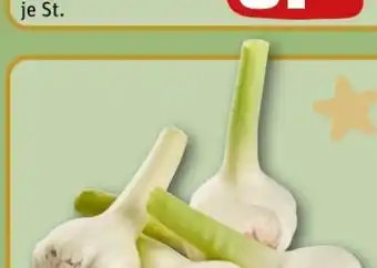 REWE Center Rewe Regional Knoblauch Angebot