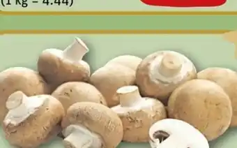 REWE Center Rewe Regional Braune Champignons Angebot