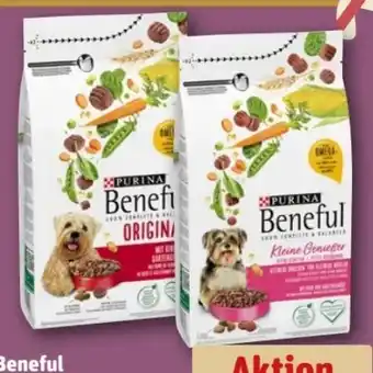 REWE Center Purina Beneful Hundenahrung Angebot