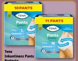 REWE Center Tena Inkontinenz Pants Plus Angebot