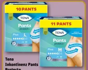 REWE Center Tena Inkontinenz Pants Plus Angebot