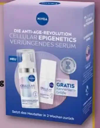 REWE Center Nivea Geschenkpackung Angebot