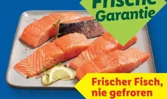 Lidl Fischerstolz Lachsfilet-Portionen Angebot