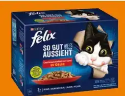 Globus Baumarkt Purina Felix Katzenfutter Angebot