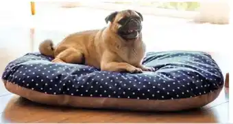 Globus Baumarkt Hundebett Angebot