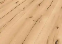 Globus Baumarkt Laminatboden Edition 7 Angebot