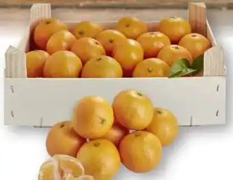 Scheck-in-Center Clementinen Angebot