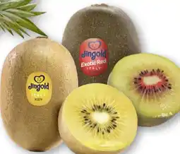 Scheck-in-Center Jingold Kiwi Gold Angebot