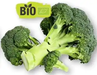 Scheck-in-Center Bio Brokkoli Angebot