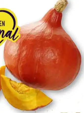 Scheck-in-Center Speisekürbisse Hokkaido Angebot