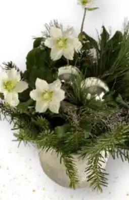 Edeka Christrose in Betonkeramik Angebot