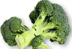 Edeka Bio Brokkoli Angebot