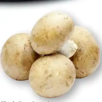 Edeka Gut & Günstig Champignons braun Angebot