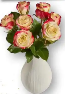 Edeka Edeka Herzstücke Rosen Angebot