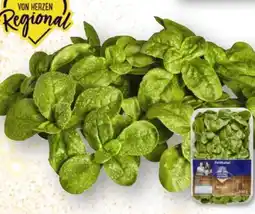 Edeka Unsere Heimat Echt & Gut Feldsalat Angebot