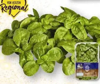 Edeka Unsere Heimat Echt & Gut Feldsalat Angebot