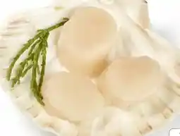 Edeka Kammmuschelfleisch Angebot