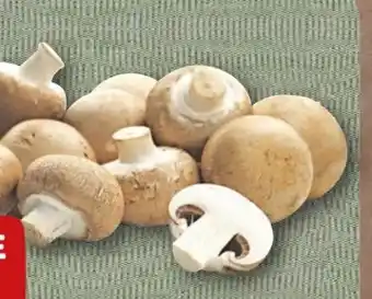 nahkauf Rewe Beste Wahl Champignons Angebot