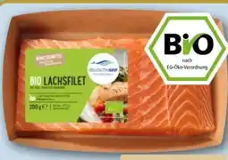 REWE Center Deutsche See Bio-Lachsfilet Angebot