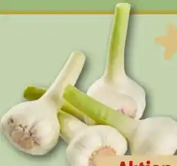 REWE Center Knoblauch Angebot