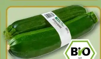 REWE Center Rewe Bio Bio-Zucchini Angebot