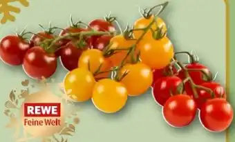 REWE Center Rewe Feine Welt Mini Cherry Rispentomaten Colore Angebot