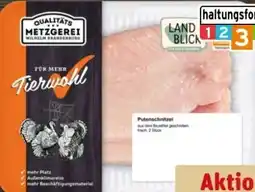 REWE Center Metzgerei Wilhelm Brandenburg Puten-Schnitzel Angebot