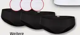 PENNY True Style Damen-Taillenslips 3er Pack Angebot