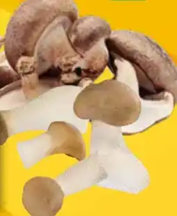 EDEKA Bandelt Bio-Shiitake-Pilze Angebot
