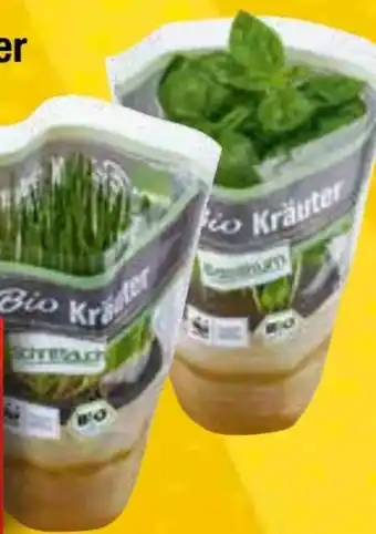 EDEKA Bandelt Edeka Bio Bio-Topfkräuter Angebot