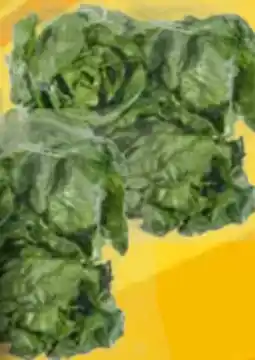 EDEKA Bandelt Romanasalatherzen Angebot