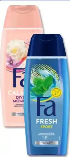 Budni Fa Duschgel Angebot