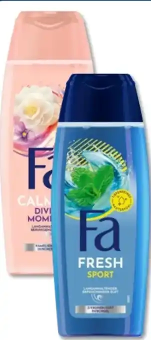 Budni Fa Duschgel Angebot