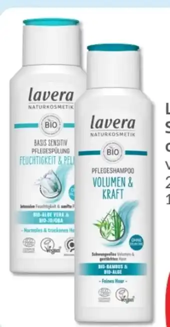 Budni Lavera Naturkosmetik Shampoo Angebot