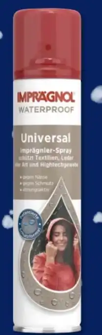 Budni Imprägnol Universal Imprägnierspray Angebot