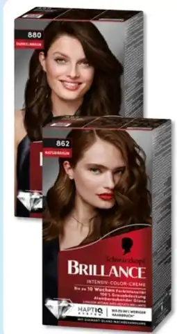 Budni Schwarzkopf Brillance Intensiv-Color Creme Angebot