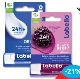 Budni Labello Lippenpflege Angebot