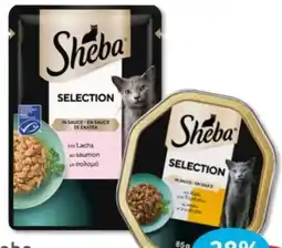 Budni Sheba Selection Angebot