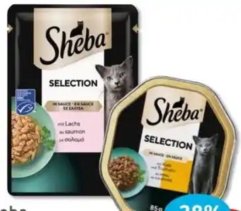 Budni Sheba Selection Angebot