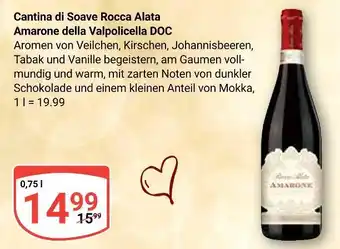 Globus Cantina di soave rocca alata amarone della valpolicella doc Angebot