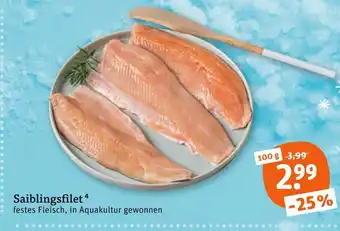 tegut Saiblingsfilet Angebot